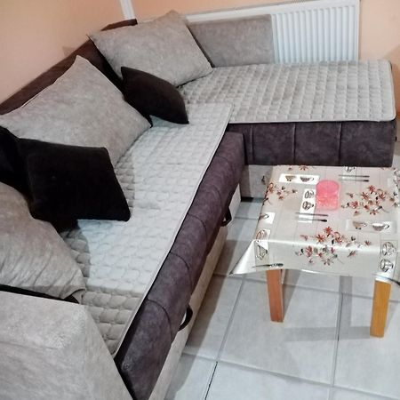Milica Apartmani Vrdnik Extérieur photo