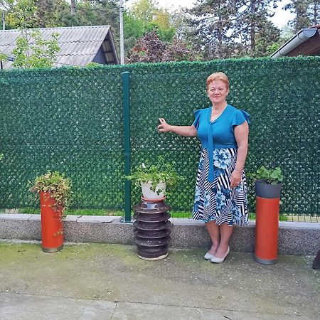 Milica Apartmani Vrdnik Extérieur photo