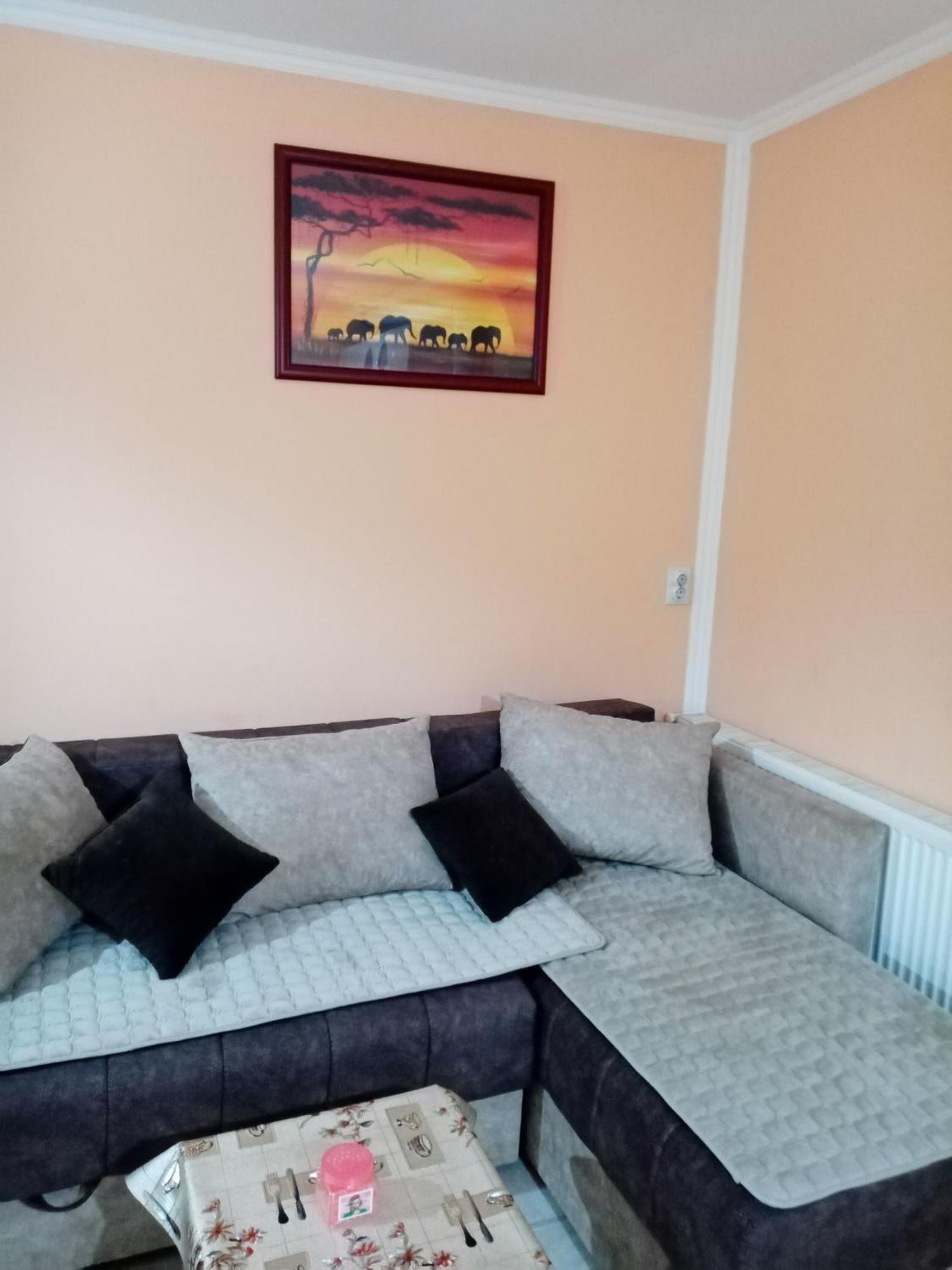 Milica Apartmani Vrdnik Extérieur photo