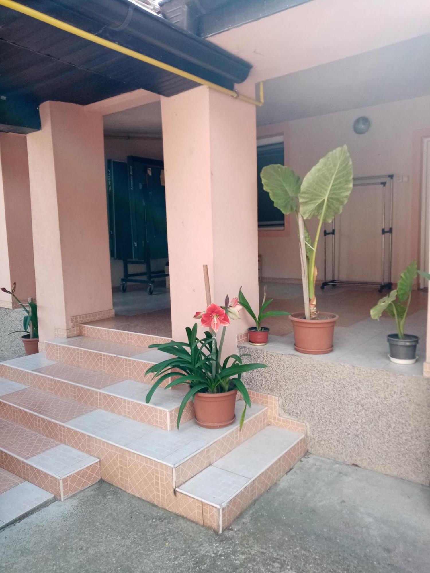 Milica Apartmani Vrdnik Extérieur photo