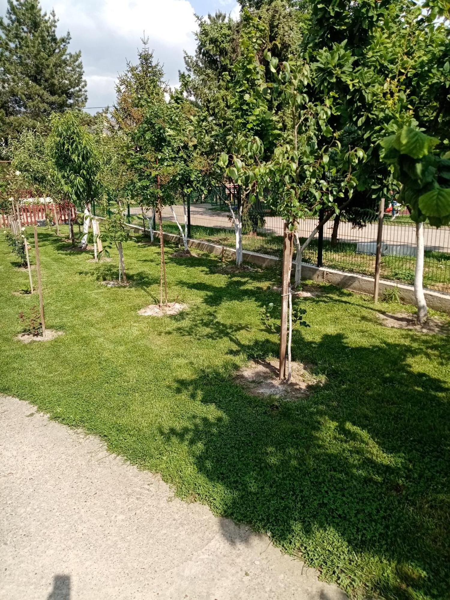 Milica Apartmani Vrdnik Extérieur photo