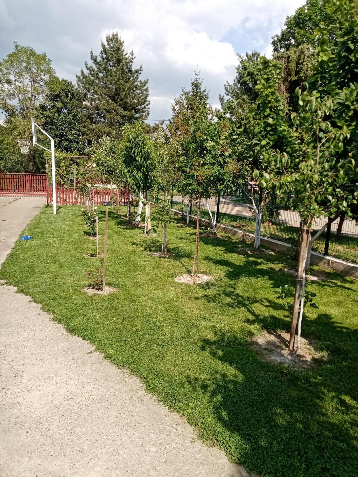 Milica Apartmani Vrdnik Extérieur photo