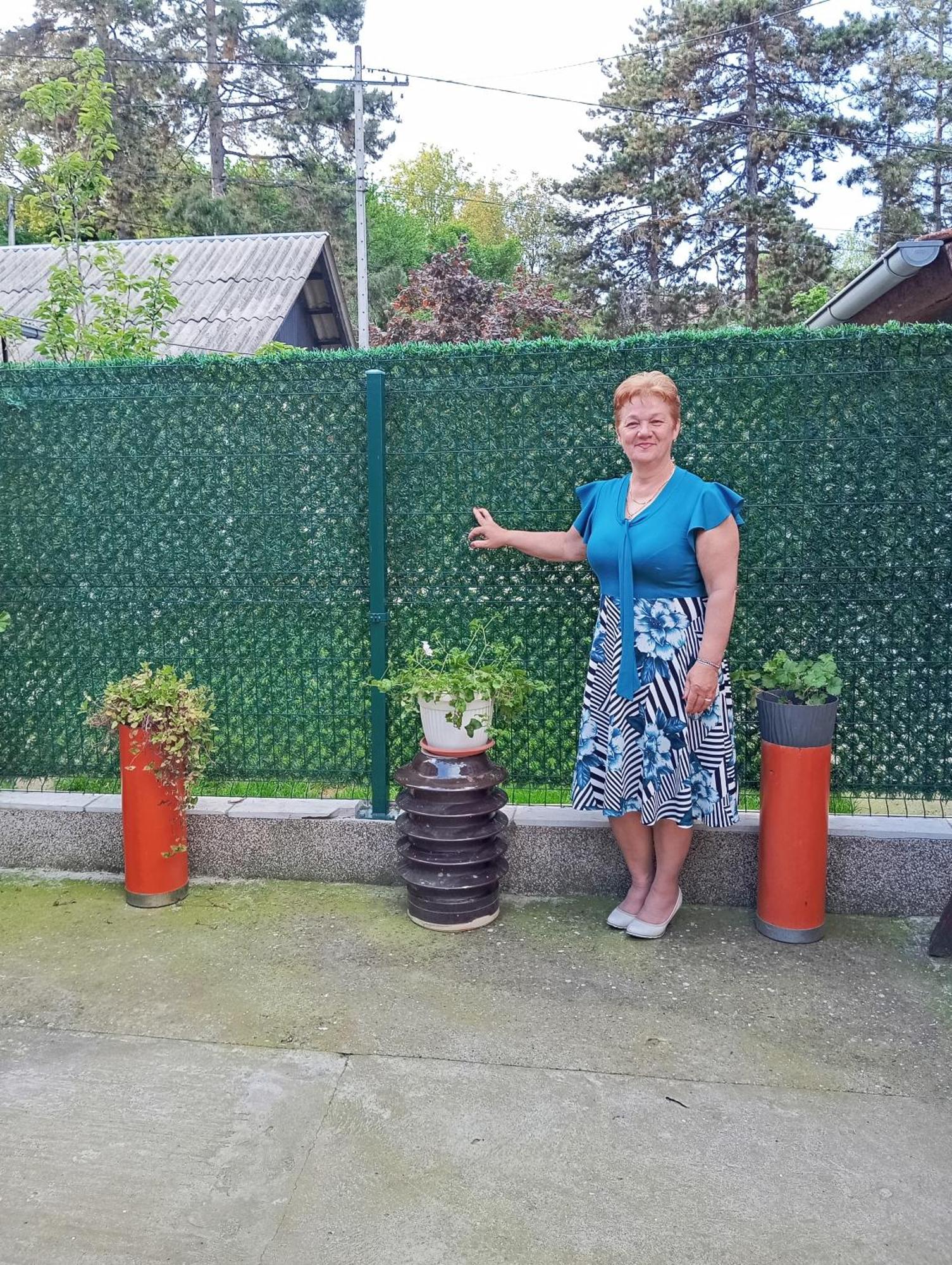 Milica Apartmani Vrdnik Extérieur photo