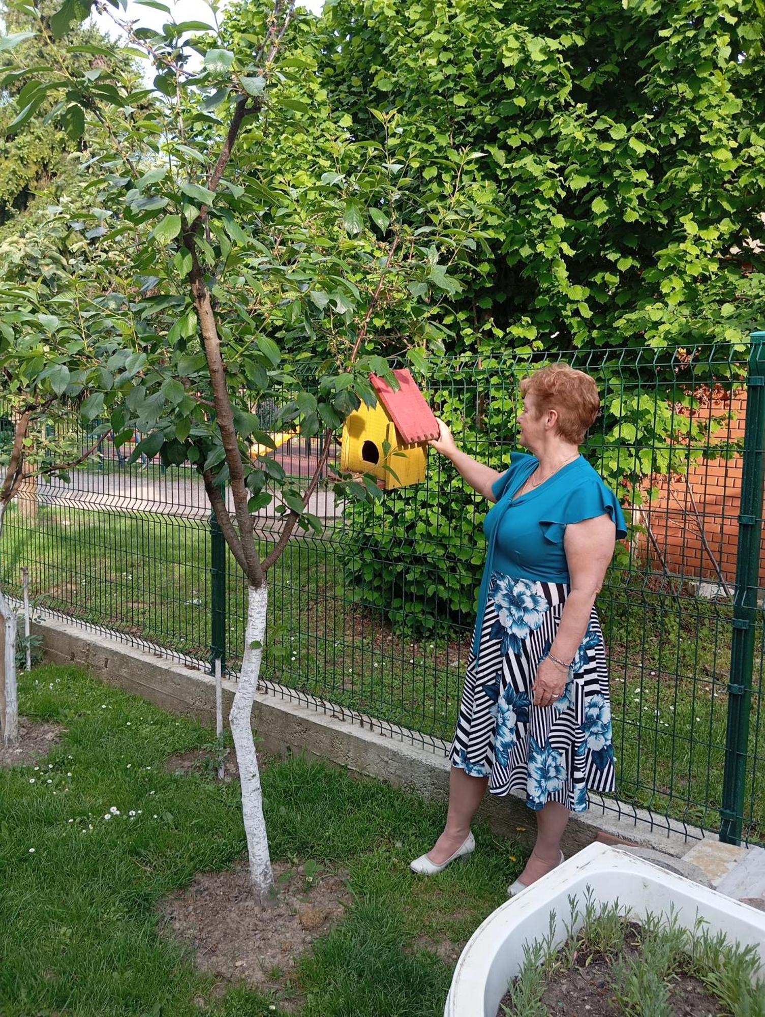 Milica Apartmani Vrdnik Extérieur photo
