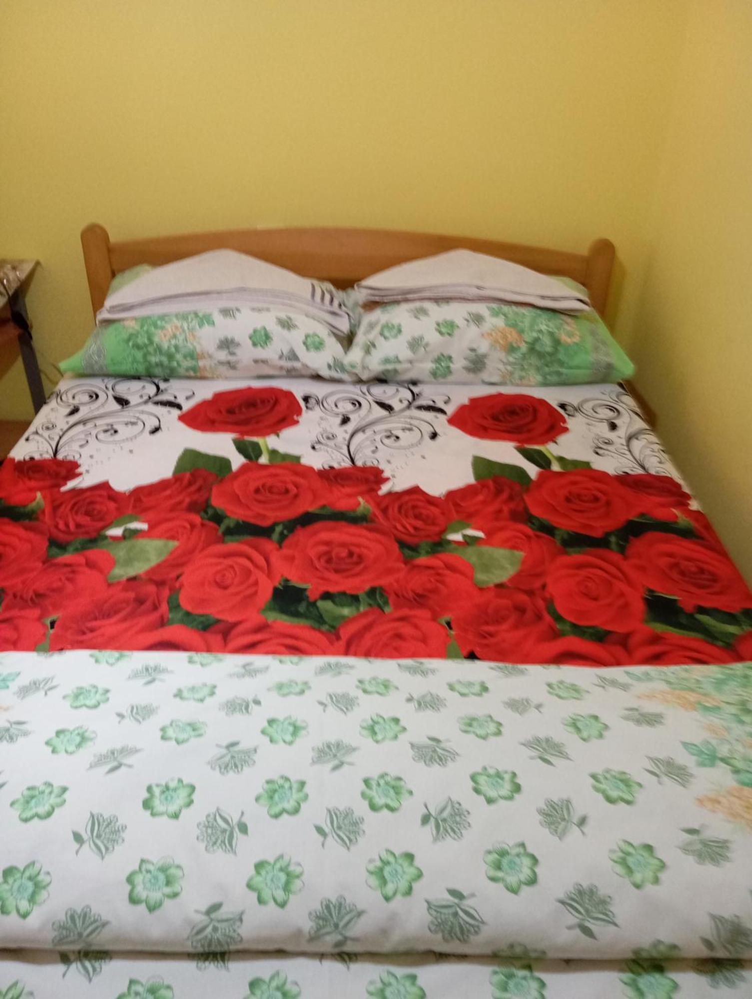 Milica Apartmani Vrdnik Extérieur photo
