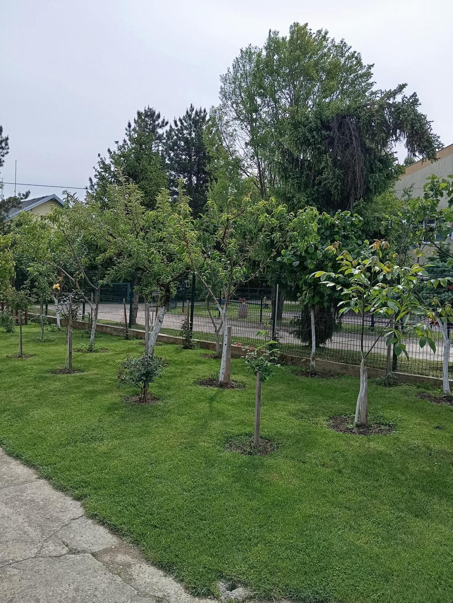 Milica Apartmani Vrdnik Extérieur photo